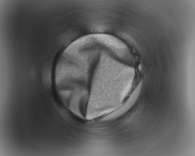 X0000088720638200706282104