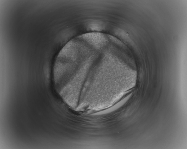 X0000088720639200706282104