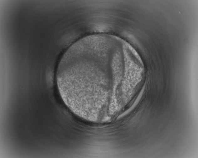 X0000088720640200706282104