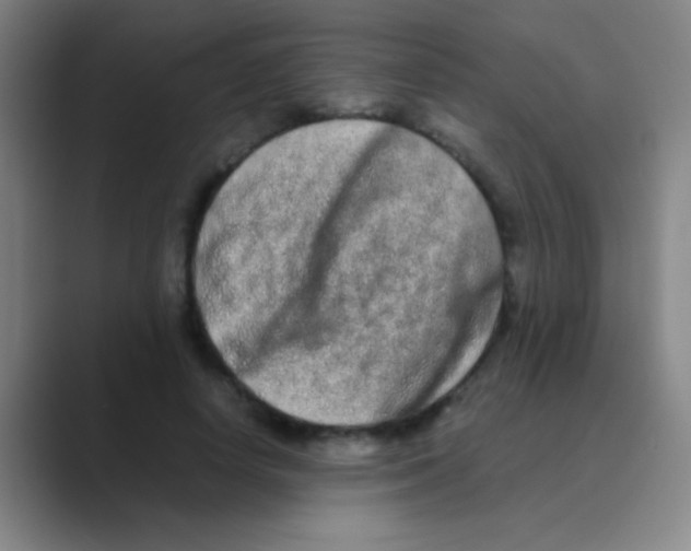 X0000088720642200706282104