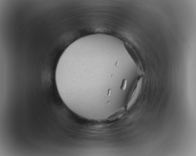 X0000088720643200706282104