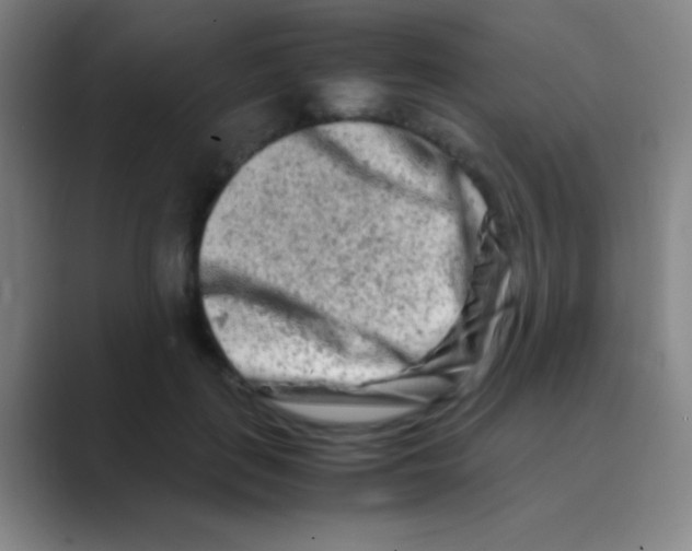 X0000088720651200706282104