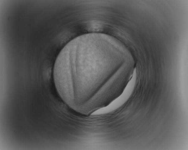 X0000088720652200706282104