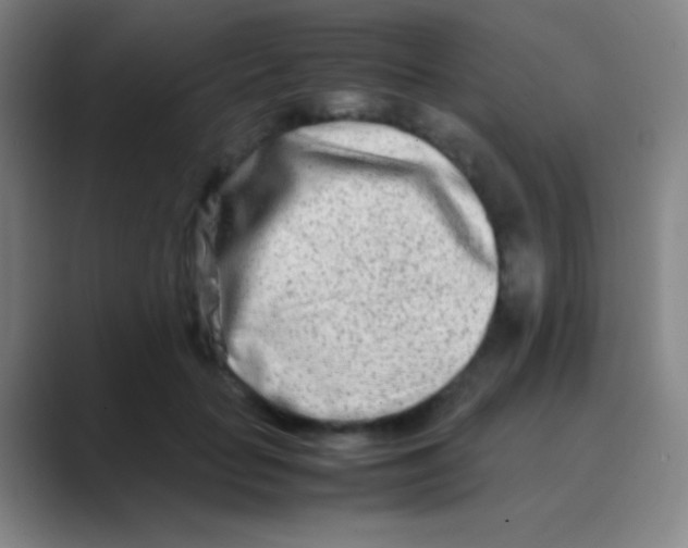 X0000088720653200706282104