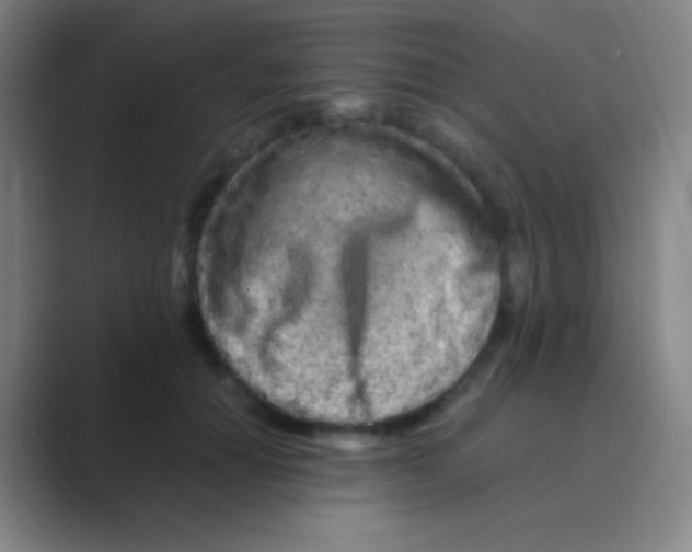 X0000088720654200706282104