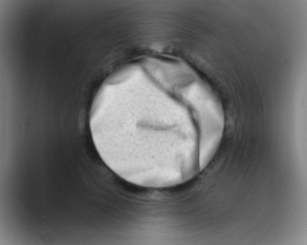 X0000088720656200706282104