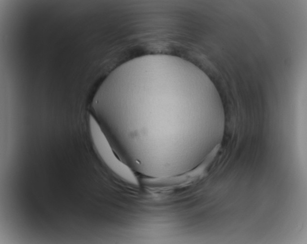 X0000088720658200706282105