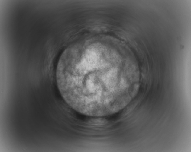 X0000088720659200706282105