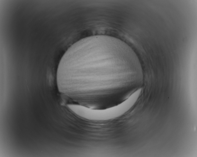 X0000088720661200706282105