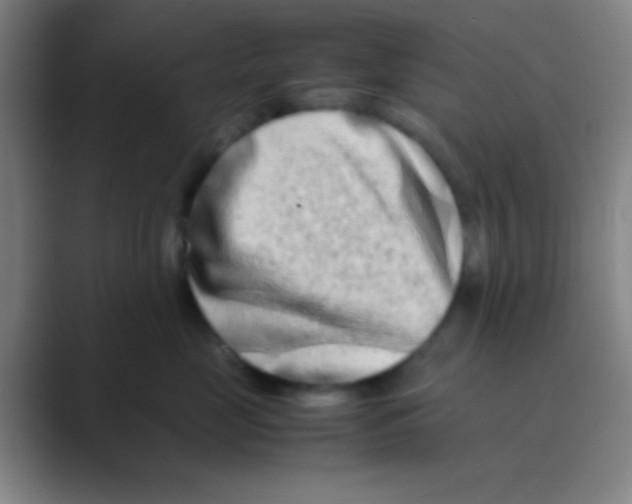 X0000088720669200706282105