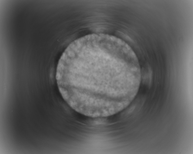 X0000088720670200706282105