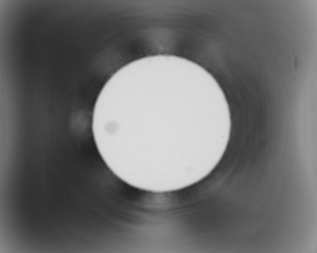 X0000088720672200706282105