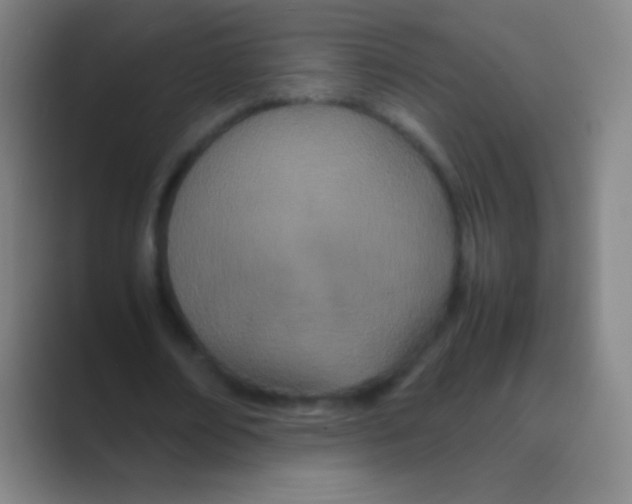 X0000088720674200706282104