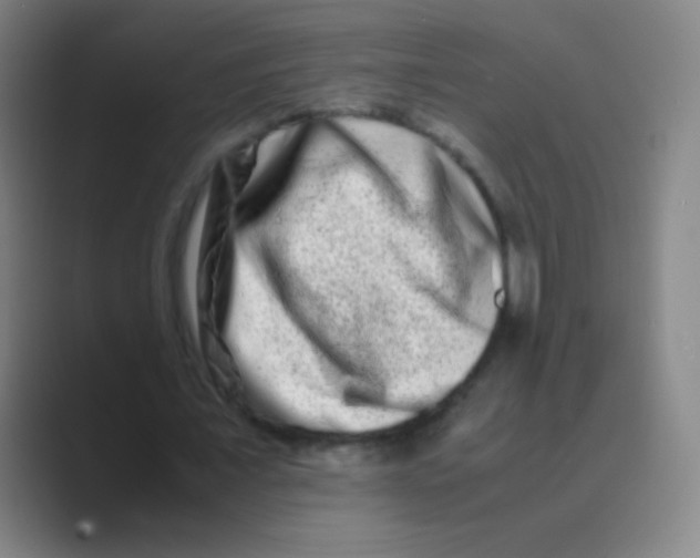 X0000088720675200706282104