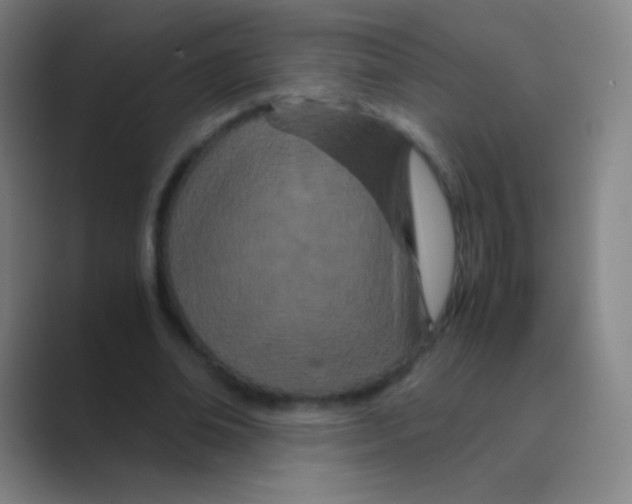 X0000088720678200706282104