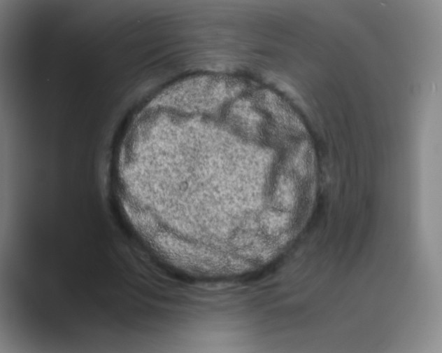 X0000088720679200706282104