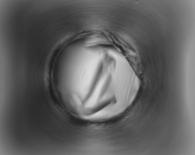 X0000088720680200706282104