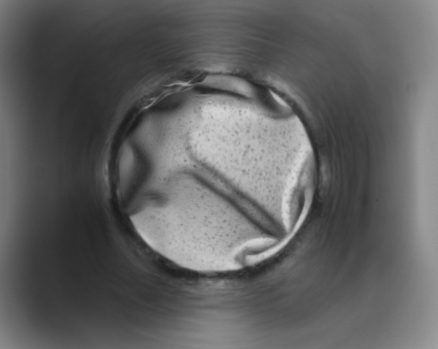 X0000088720682200706282104