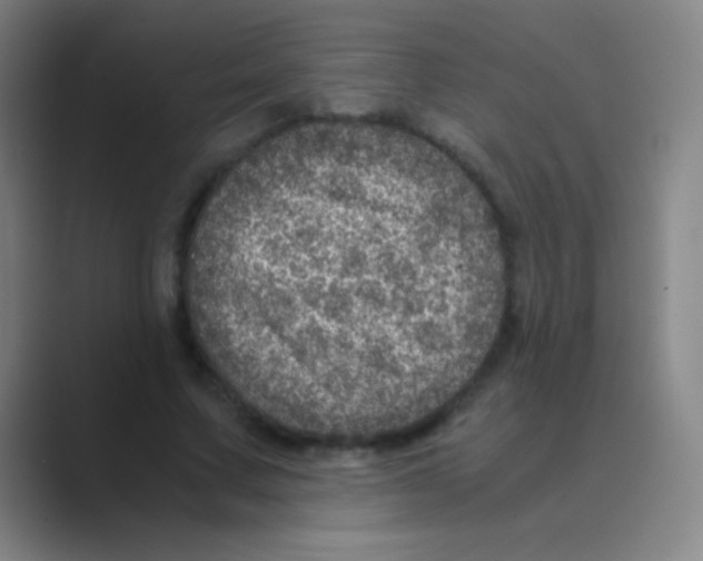 X0000088720683200706282104