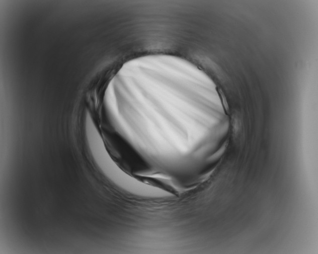 X0000088720684200706282104