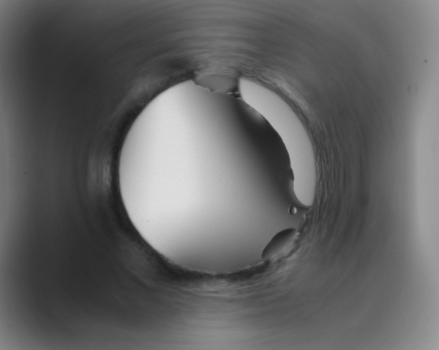 X0000088720685200706282104