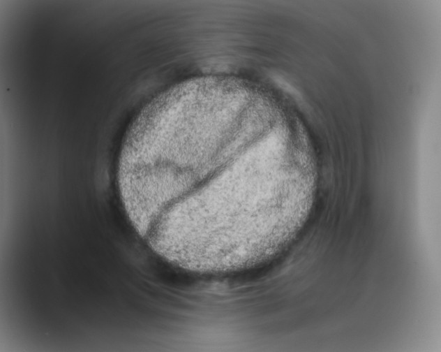 X0000088720687200706282104