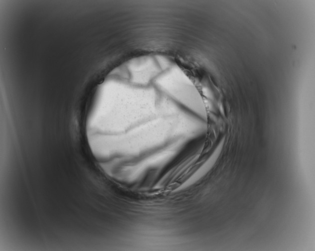 X0000088720688200706282104