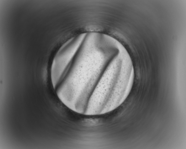 X0000088720690200706282104