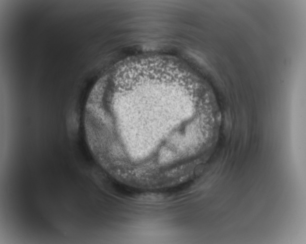 X0000088720691200706282104