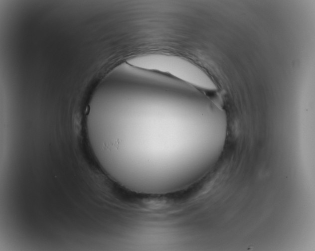 X0000088720693200706282104