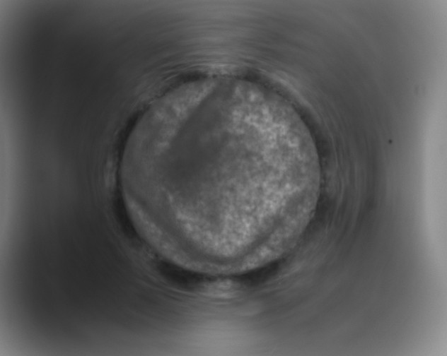 X0000088720695200706282104