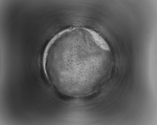 X0000088720696200706282104