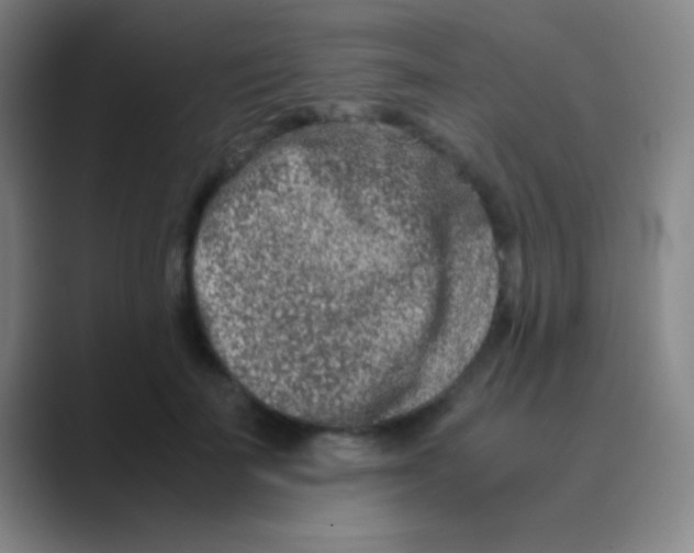 X0000088720699200706282104