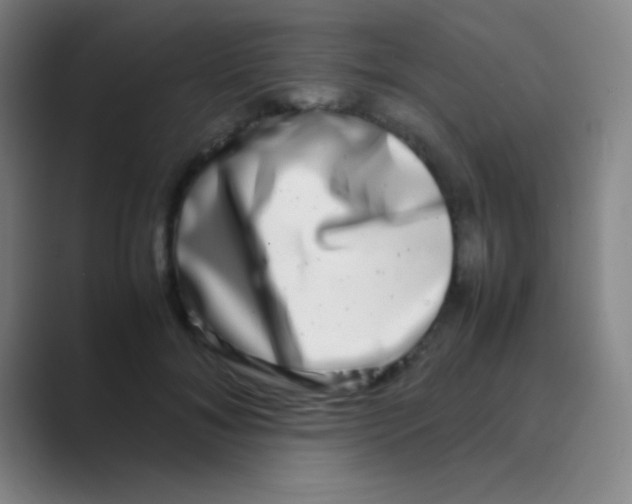 X0000088720700200706282104