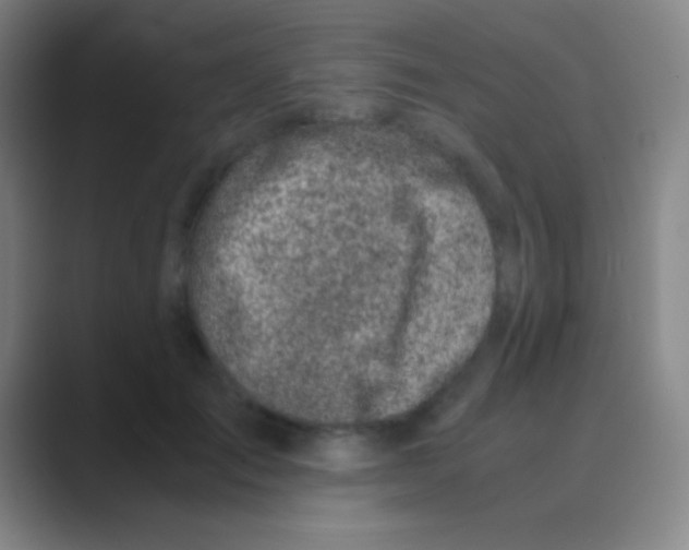 X0000088720701200706282104