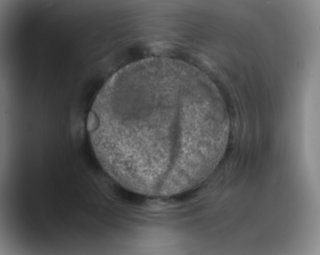 X0000088720703200706282104