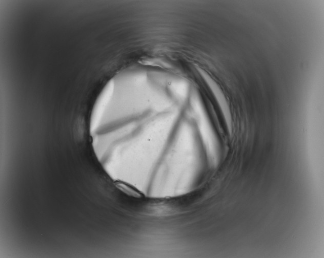 X0000088720704200706282104