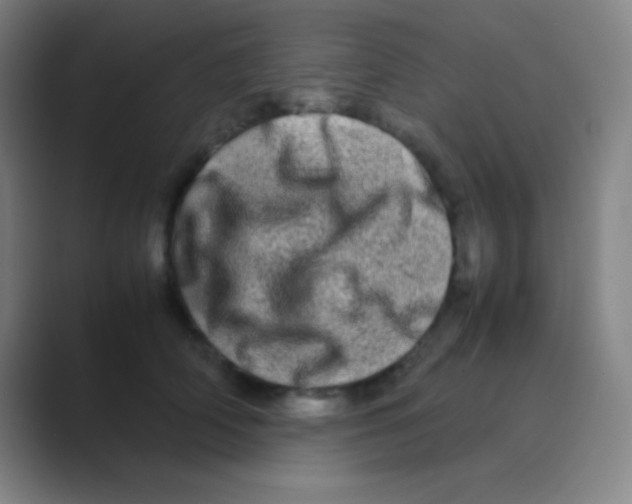 X0000088720706200706282104