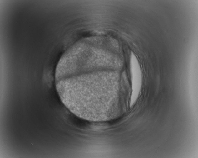 X0000088720707200706282104