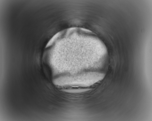 X0000088720708200706282104