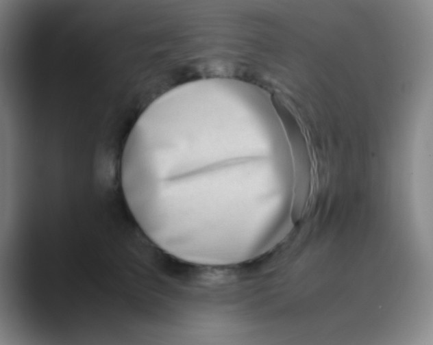 X0000088720709200706282104