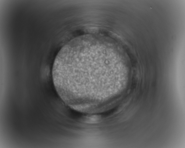 X0000088720711200706282104