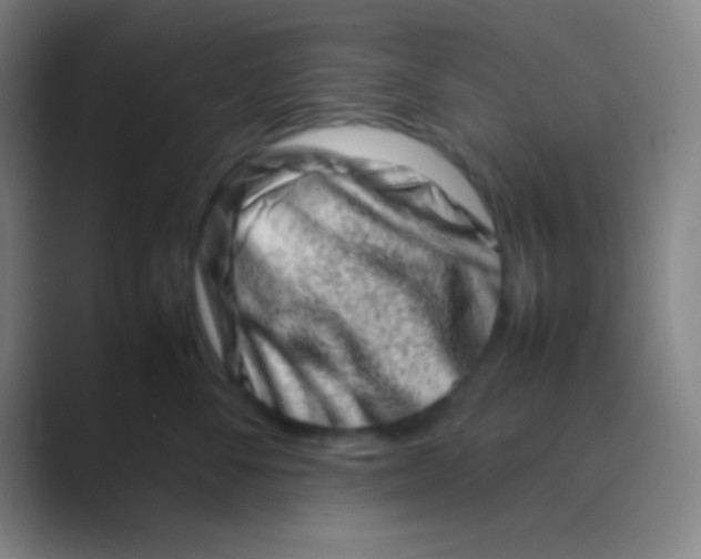 X0000088720716200706282104