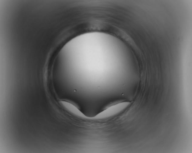 X0000088720722200706282103