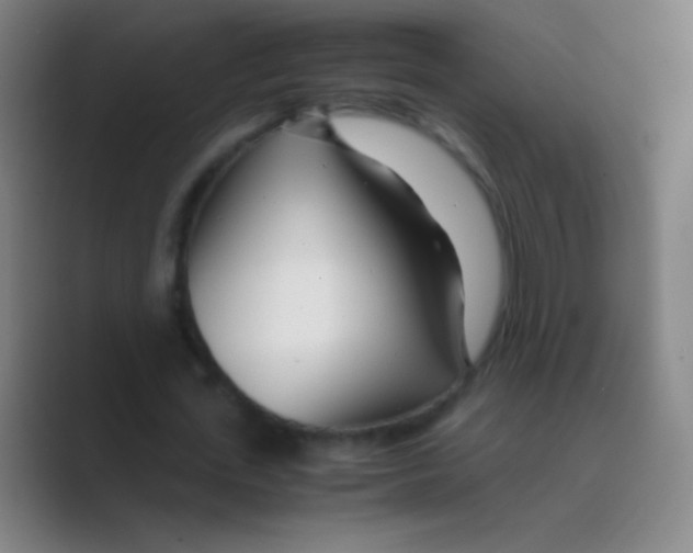 X0000088720723200706282103