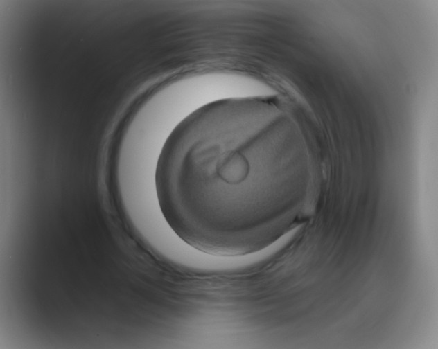 X0000088720724200706282103