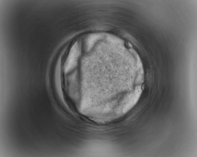 X0000088720726200706282103