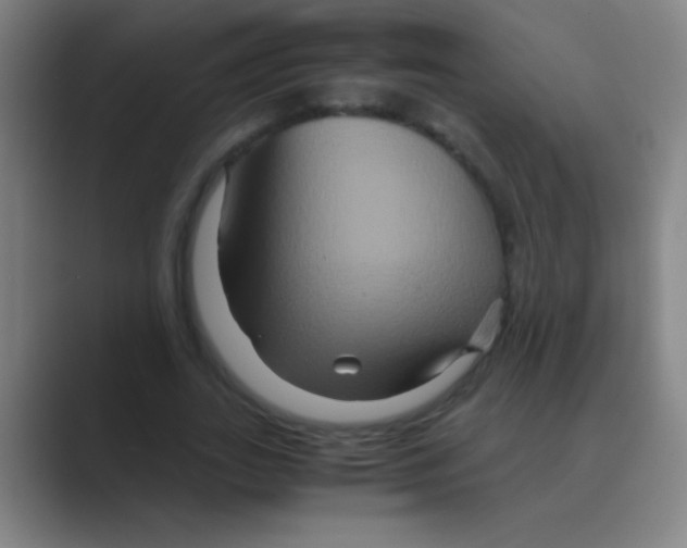 X0000088720727200706282103