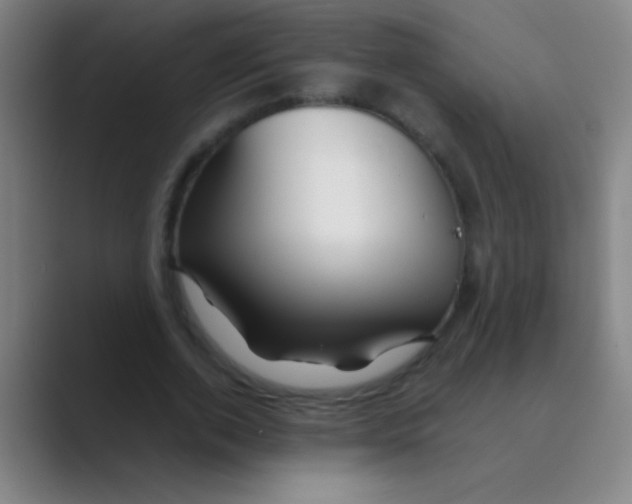 X0000088720728200706282103