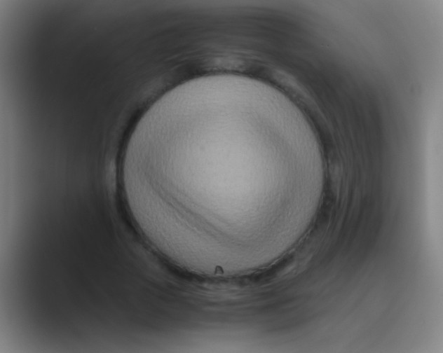 X0000088720729200706282103